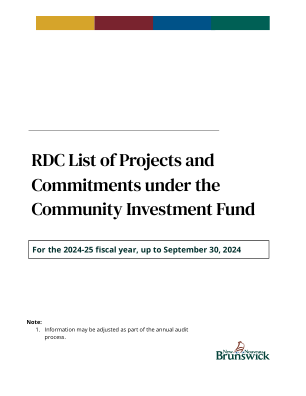 RDC 社区投资基金下的项目和承诺清单